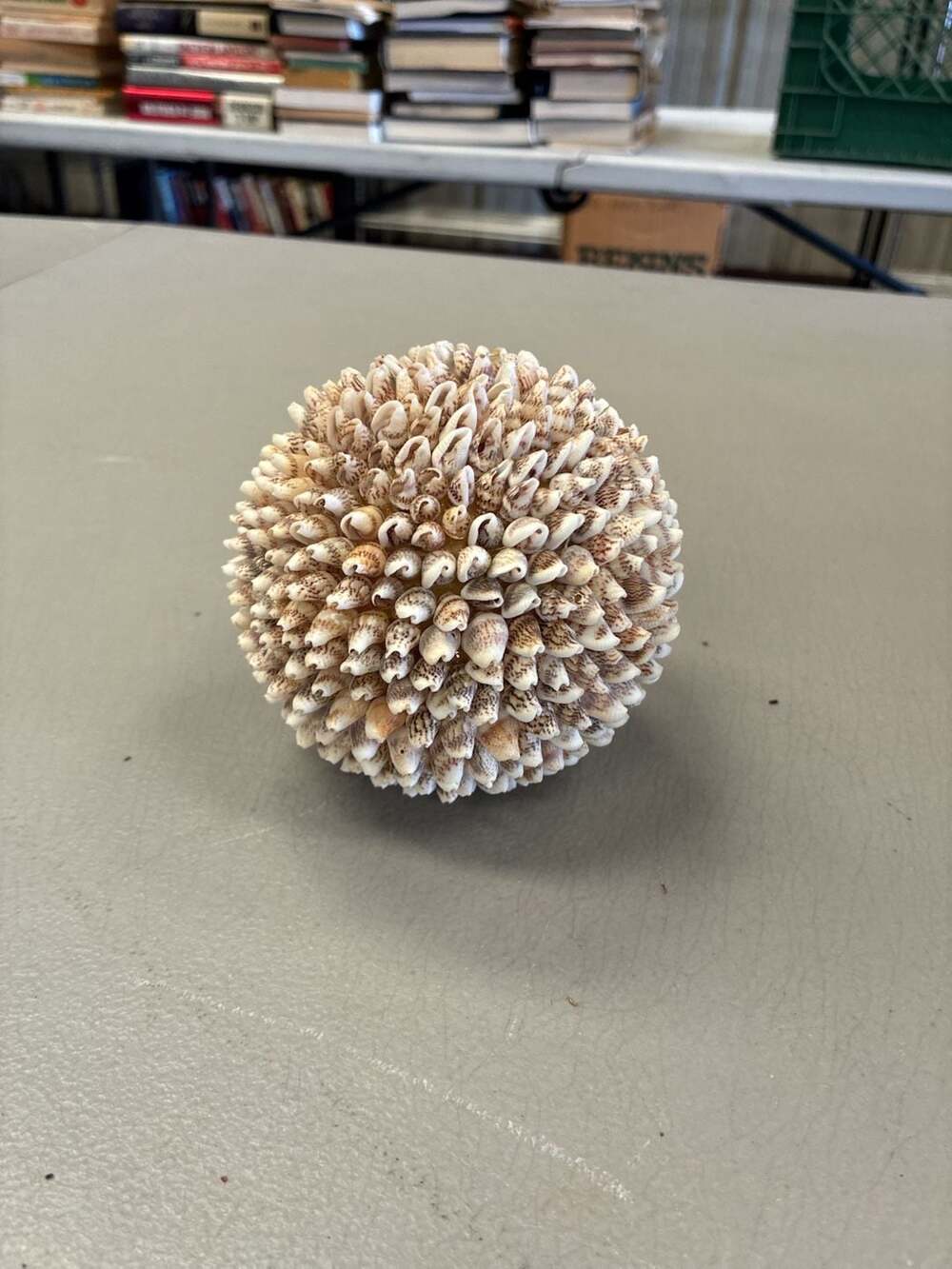 Decorative Coastal Cowrie Shell Sphere Ball